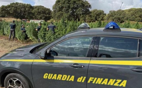 Sequestrati 7.500 euro al valico di Piattamala, denunciato un 62enne