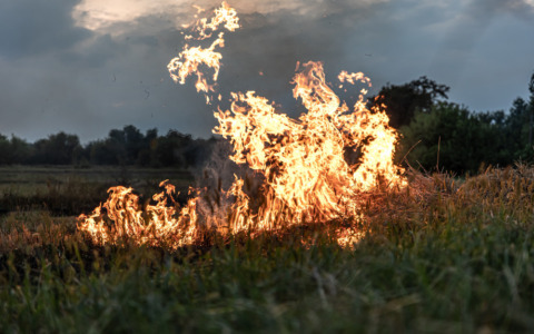 Stop ai fuochi per il rischio di incendi boschivi