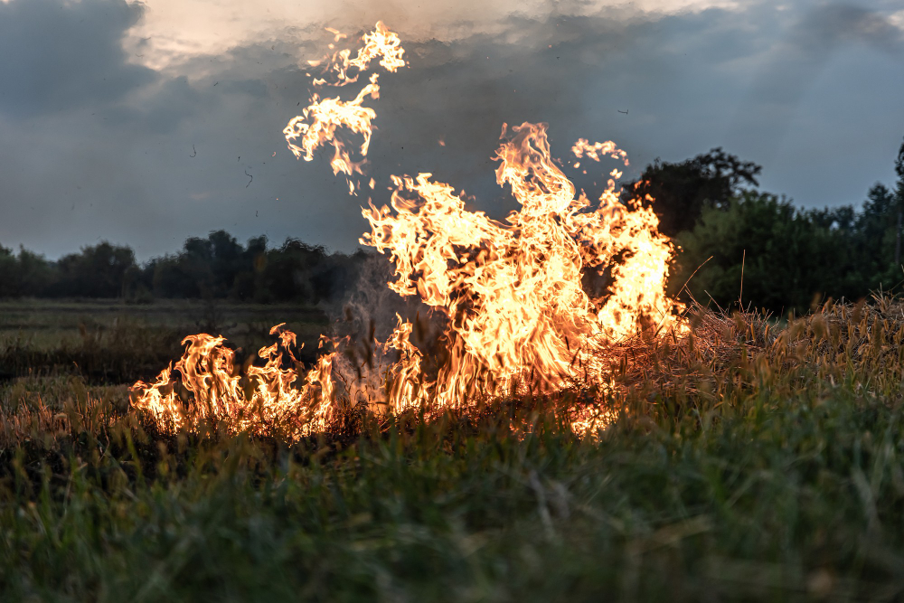 Stop ai fuochi per il rischio di incendi boschivi