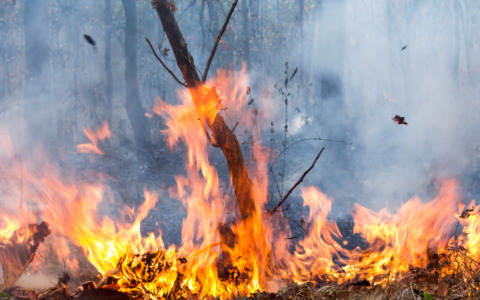 Incendi in comune: Gordona e Novate Mezzola alle prese con le fiamme