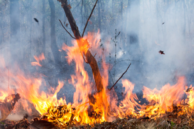 Incendi in comune: Gordona e Novate Mezzola alle prese con le fiamme