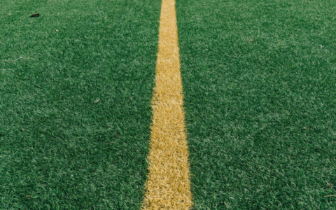 La Nuova Sondrio ufficializza quattro nuovi innesti per la rosa